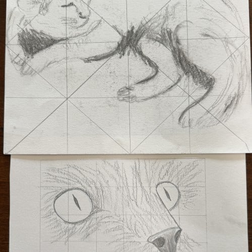 Grid paper cats....