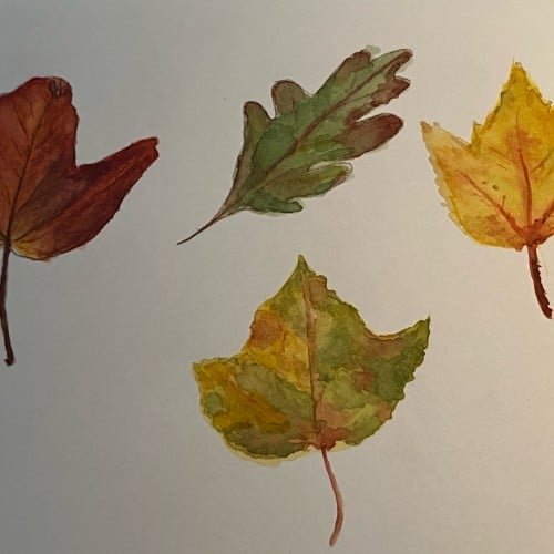 Autumn leaves