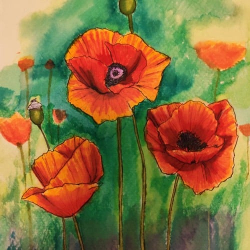 Poppies