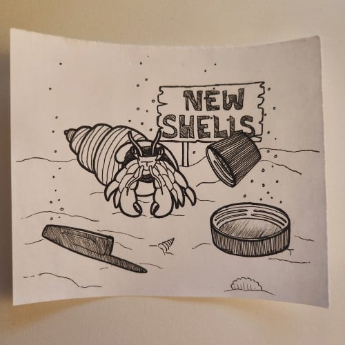 Doodles with Dane - Under the Sea - Hermit Crab