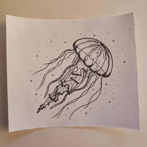 Doodles with Dane - Under the Sea - Jelly Fish