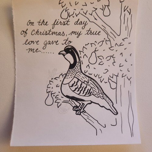 Doodles with Dane - 12 Days of Xmas - Partridge