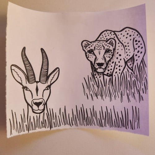 Doodles with Dane - Predator/Prey - Cheetah/Antelope