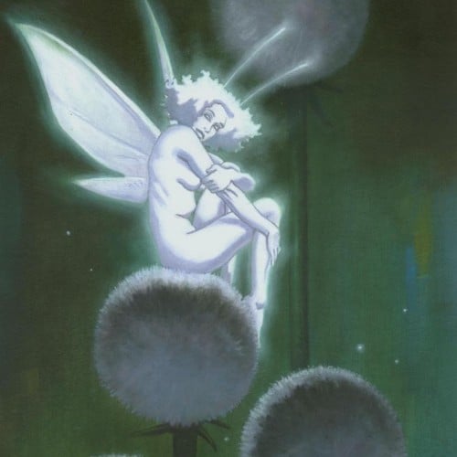 Night fairy Version 3