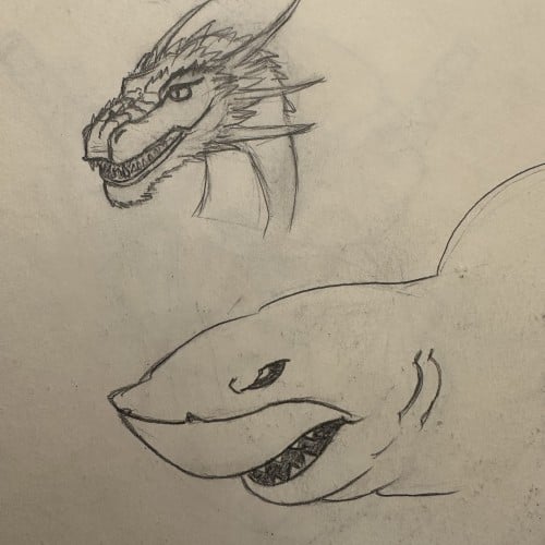 Dragon and shark