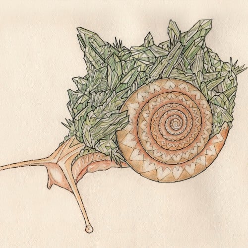 «The emerald snail»