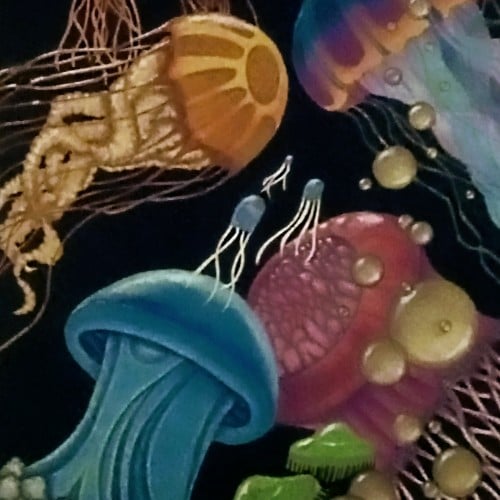 Jellyfish