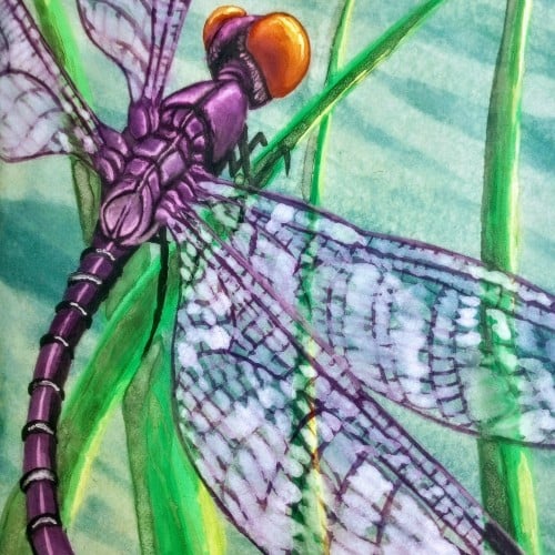 Dragonfly