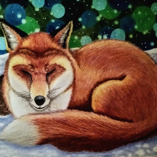 Fox