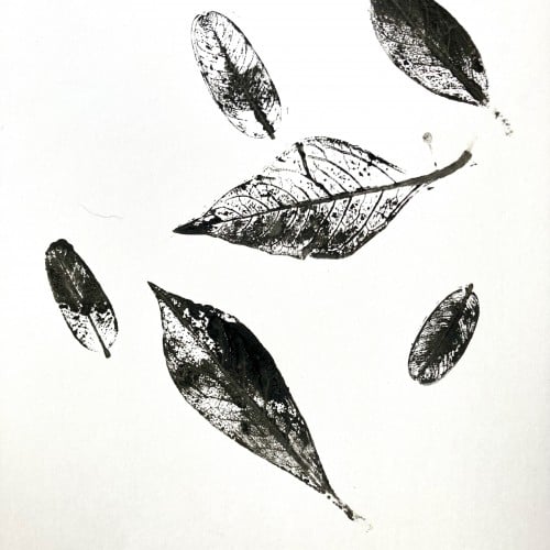 Leaf Prints