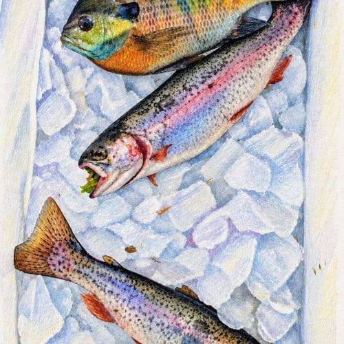 The Kids’ Catch
