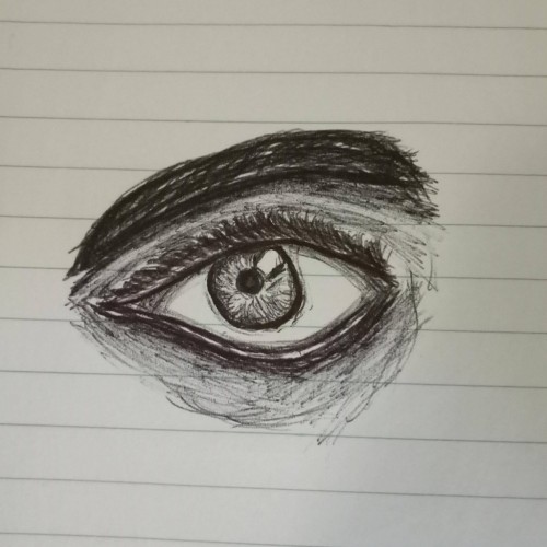 Eye